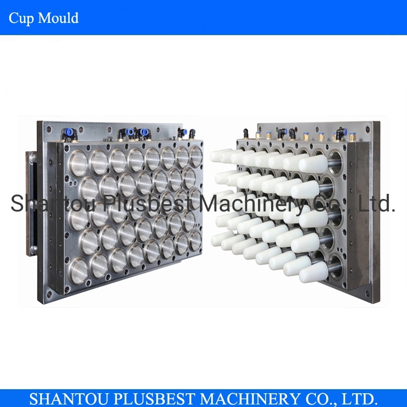 Plastic Glass Cup Mould for Thermoforming Machinery